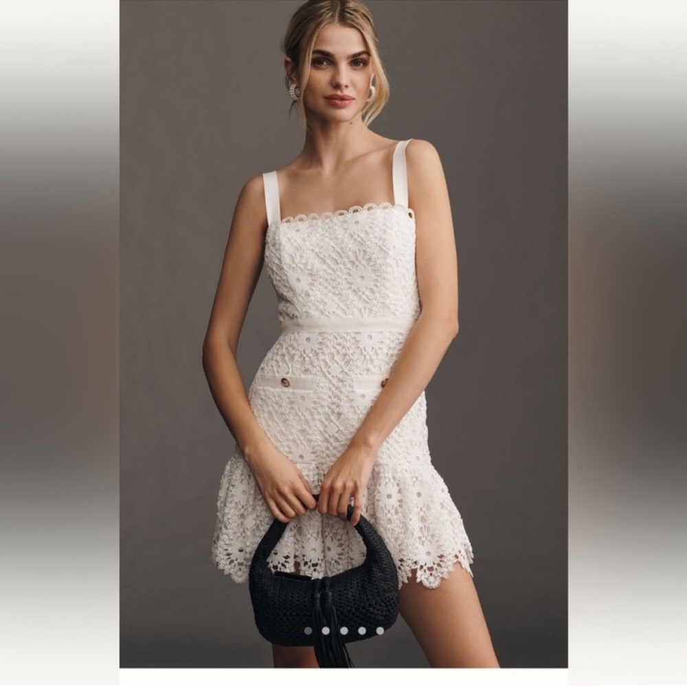 NWT Saylor Verena Lace Mini Dress Sz Large